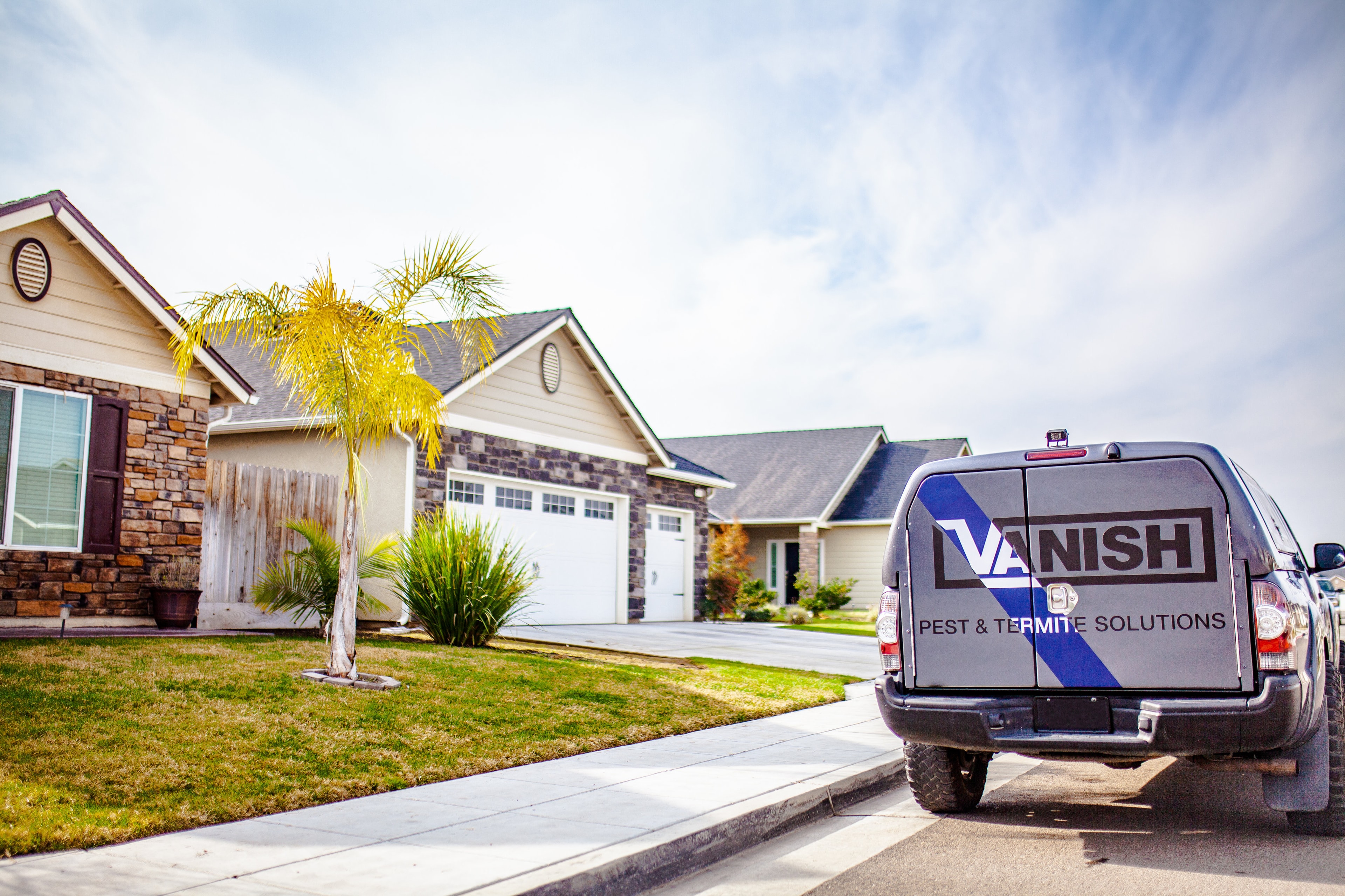 Vanish technician with dogs — treatments safe for pets and family